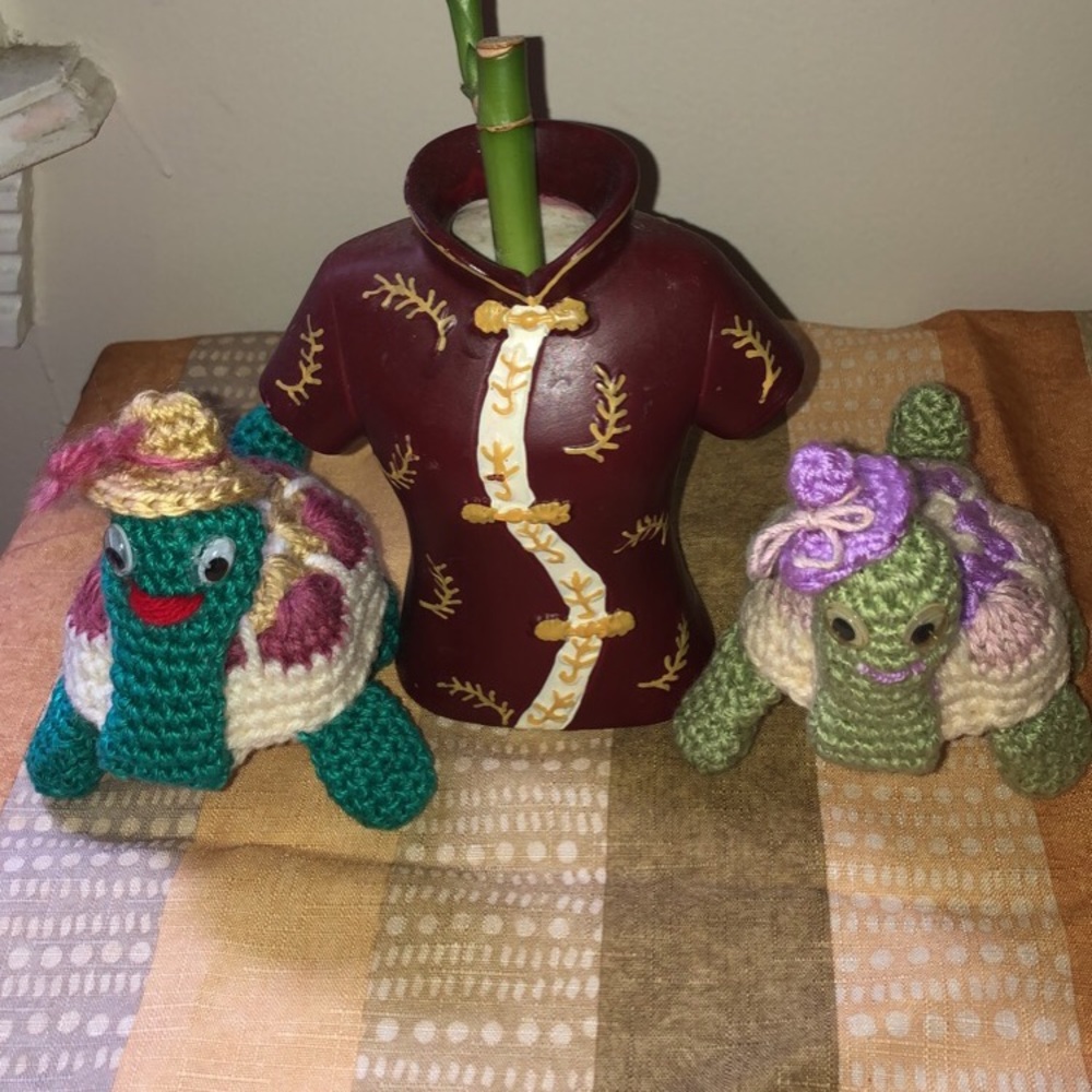 Handmade Knitted Turtles 🐢